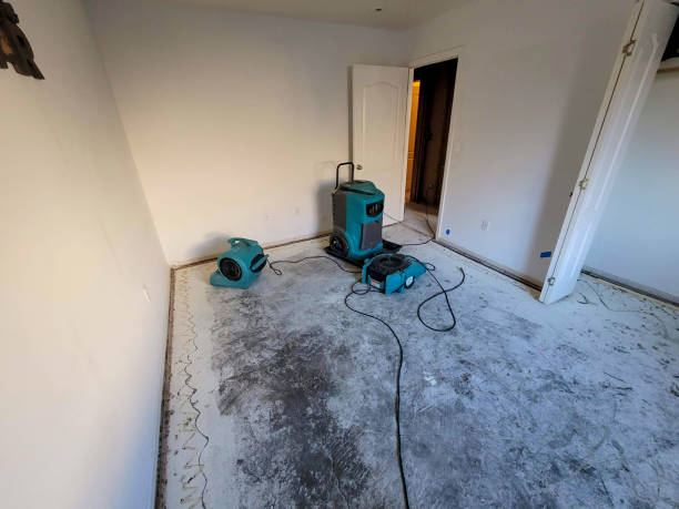 Best Flooded house restoration  in Rockdale, TX