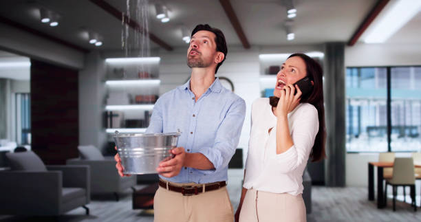 Best Basement water damage restoration  in Rockdale, TX